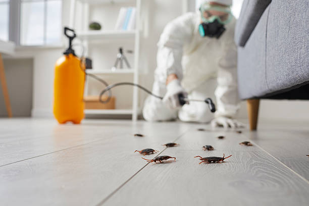 Post-Treatment Bed Bug Interceptor Monitoring in Ayden
