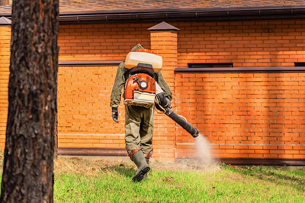 Bed Bug Clearance Verification and Documentation in Ayden
